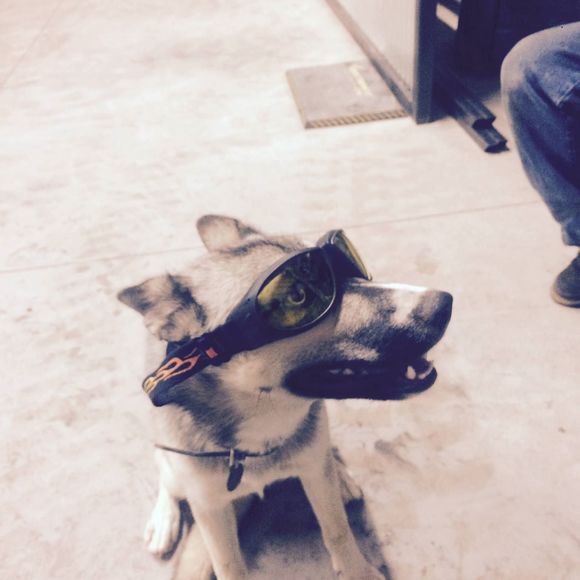 Meet your Posher, Travis - Picture 1 of 1